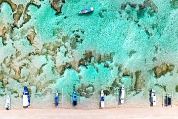 Zomer in de lucht - Koraalboten