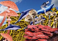The Light Mushroom Brigade