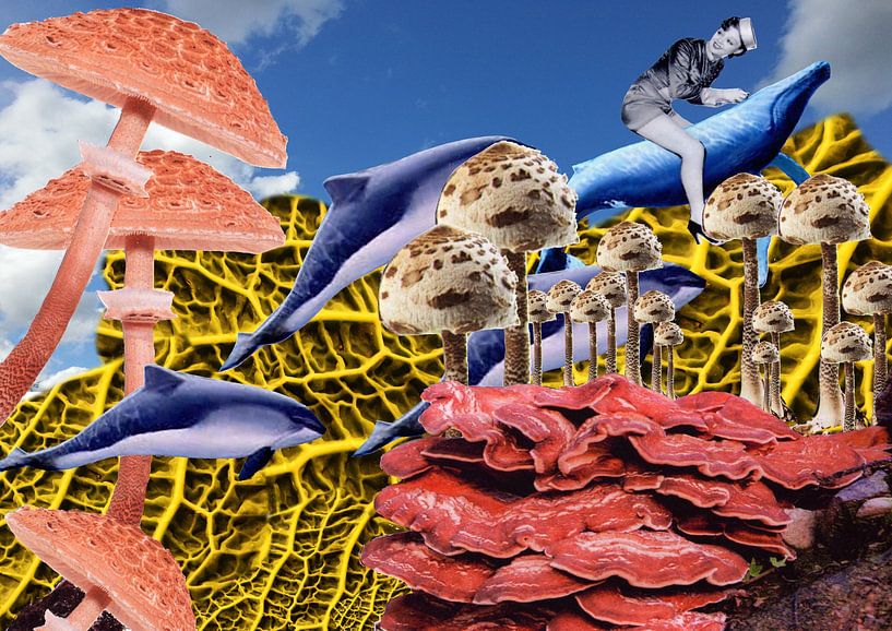 The Light Mushroom Brigade van Terra- Creative