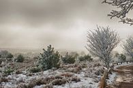 Winter in Salland van Alied Kreijkes-van De Belt thumbnail