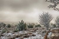 Winter in Salland