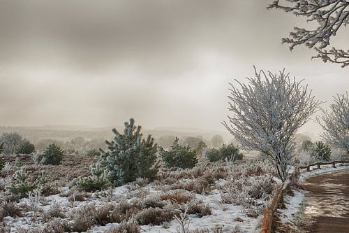 Winter in Salland