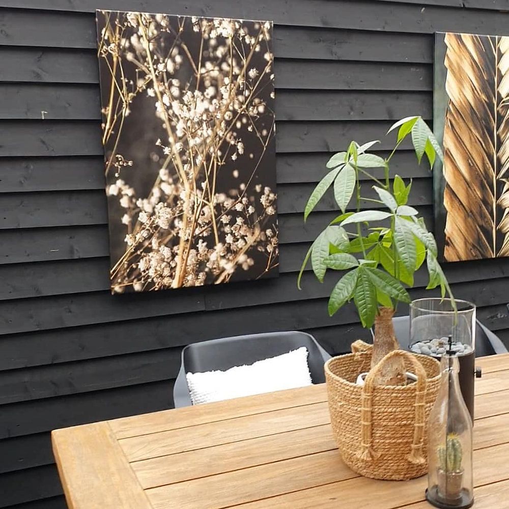 Feder von Melanie Schat