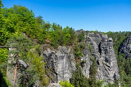 Felsen an der Bastei im Elbsandsteingebirge Säschische Schweiz von Animaflora PicsStock