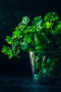 Coriander in glass by Poster Art Shop thumbnail