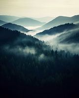 Black Forest from the air