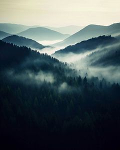 Schwarzwald aus der Luft