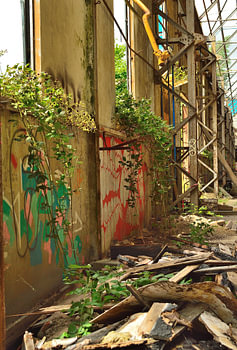 Overgrown