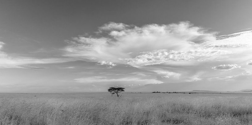 Zwart/Wit Landschap Tanzania van Gonda van Wijk