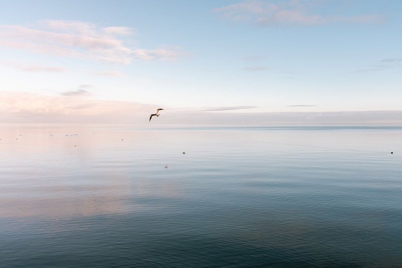 Calm on a pastel-coloured sea with flying seagull by Marit Hilarius