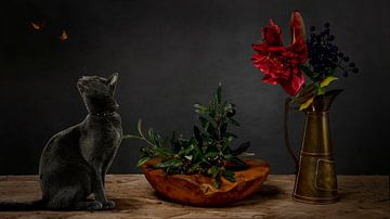 Stilleven Griekse olijf takken met kat. van Cindy Dominika