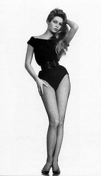 Brigitte Bardot von Brian Morgan