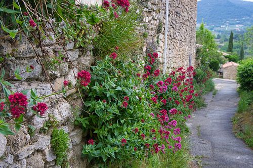 Dorpsidylle in Frankrijk