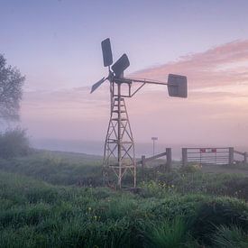 Binnenveldse Hooilanden – Windmühle von Bart van den Dikkenberg