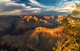 Canyon Sunset by Steven Driesen