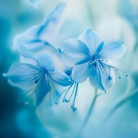 Blaue Blumenpracht von Poster Art Shop