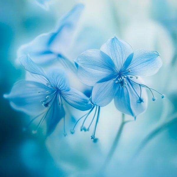 Fleur bleue par Poster Art Shop
