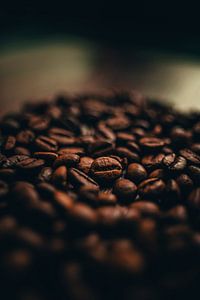 Kaffeebohnen (warmes Rot)