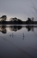 Wasser