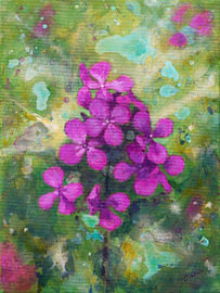 Lunaria von Maria Meester