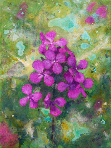 Lunaria