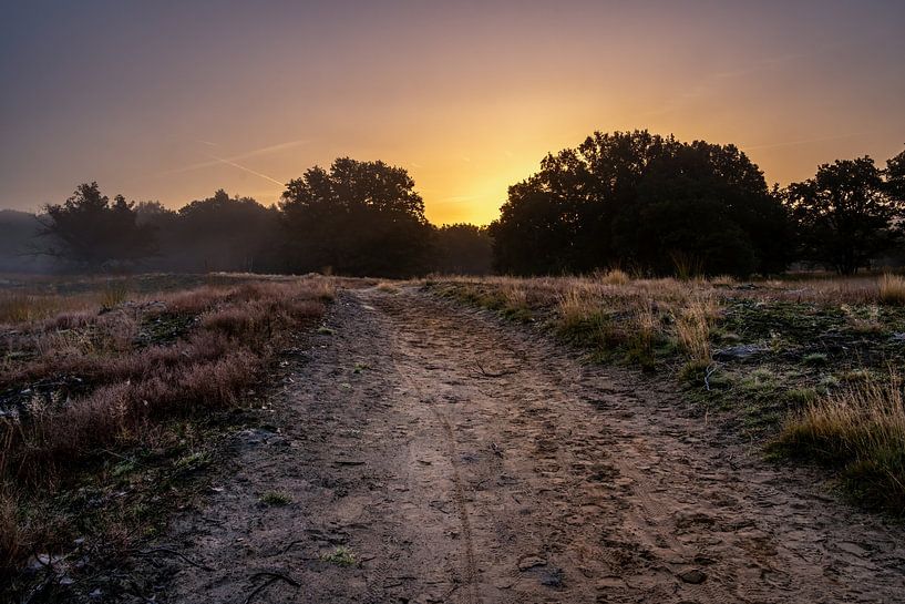 Nationalpark De Meinweg in Limburg - Niederlande von Maurice Meerten