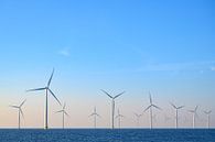 Wind turbines in an offshore wind park during sunset by Sjoerd van der Wal Photography thumbnail