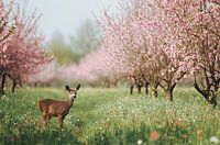Lente in ontwaken