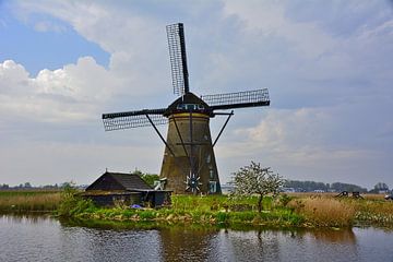 Kinderdijk 13