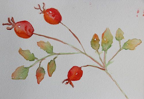 Sanfter Hagebuttenglanz 🌹 von Anja Zinken Bertens