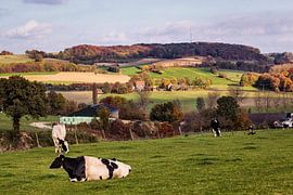 Eyserbos van Rob Boon