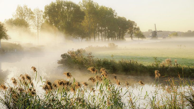 Brouillard le matin par Dirk van Egmond