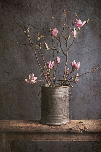 spring is coming... ( magnolia) by Els Fonteine