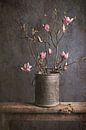 spring is coming... ( magnolia) by Els Fonteine thumbnail