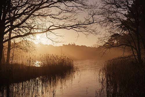 Zonsopkomst boven meer op Vlieland - landschapsfotografie print
