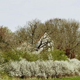 Zutphen panorama by michel nolsen