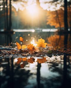 Herbstspaziergang