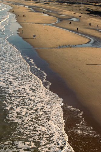 Promenade à l'ombre