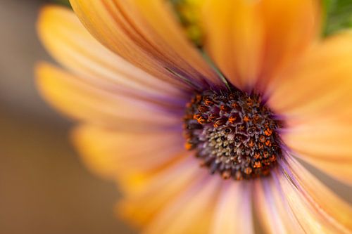 Seien Sie weich und offen