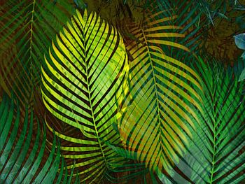 FEUILLES VERTES TROPICALES
