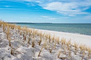 Strand an der Ostsee bei Ahrenshoop