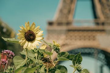Eiffeltoren met bloemen op voorgrond, vintage look