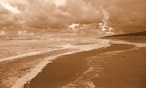 Strand von Texel in Sepia