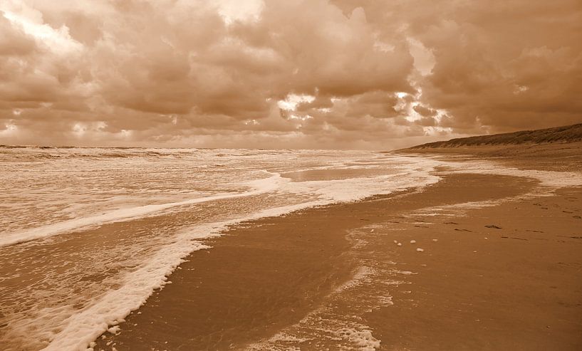 Texel beach in sepia by Jose Lok