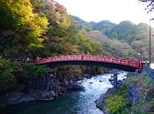 Rode brug in de herfst, Nikko, Japan van Annemarie Arensen thumbnail