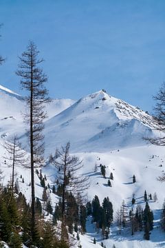 Winterlandschap in de Hohe Tauern in Pinzgau van chamois huntress