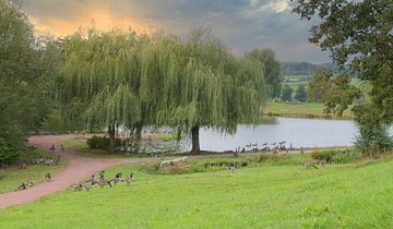 Gänseteich von Jose Lok