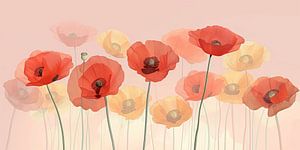 Mohnblumen