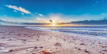 Seashells enjoying the sunset by Alex Hiemstra