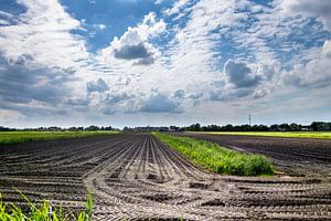 Landschaften und Wolkenlandschaften über Drente